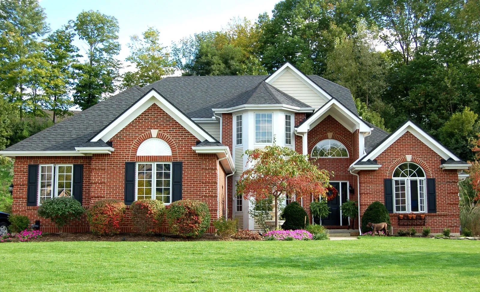 Simple, stress-free, and fast moves for families and businesses in West Bellevue, WA